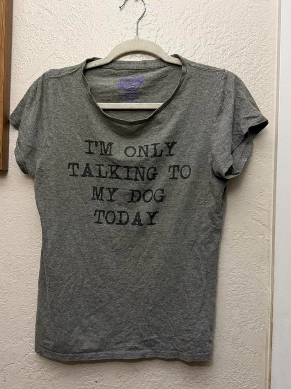 Crazy Dog T-Shirts Gray 'I'm Only Talking to My Dog Today' Short Sleeve Tee